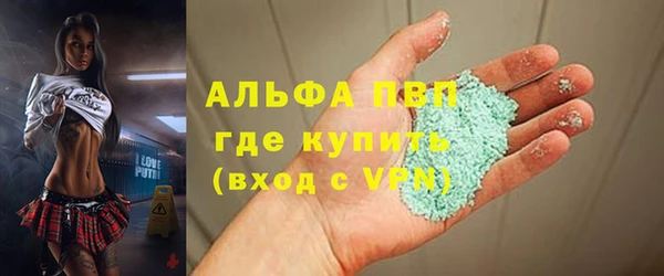 ГАЛЛЮЦИНОГЕННЫЕ ГРИБЫ Белокуриха