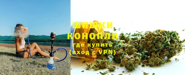 ГАЛЛЮЦИНОГЕННЫЕ ГРИБЫ Белокуриха