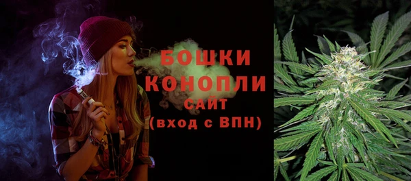 ГАЛЛЮЦИНОГЕННЫЕ ГРИБЫ Белокуриха