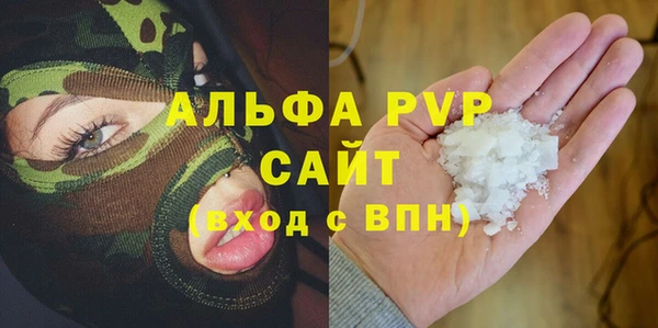 ГАЛЛЮЦИНОГЕННЫЕ ГРИБЫ Белокуриха
