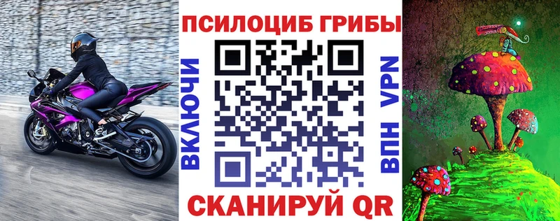 Купить где  Белебей  Псилоцибиновые грибы GOLDEN TEACHER 